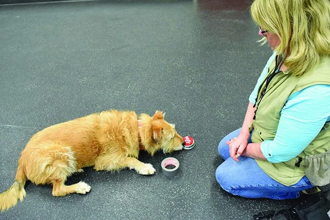 %EC%B2%9C%EC%9E%AC%EA%B0%9C3.jpg?type=w966