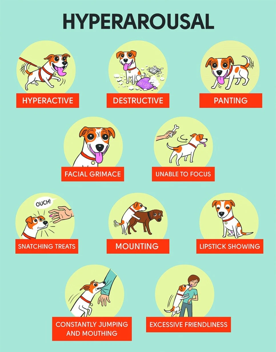 %EA%B0%9C%EC%A7%80%EB%9E%842.jpg?type=w966