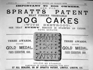 %EC%B2%AB%EB%B2%88%EC%A7%B8_%EA%B0%9C%EB%B9%84%EC%8A%A4%EC%BC%93.jpg?type=w966