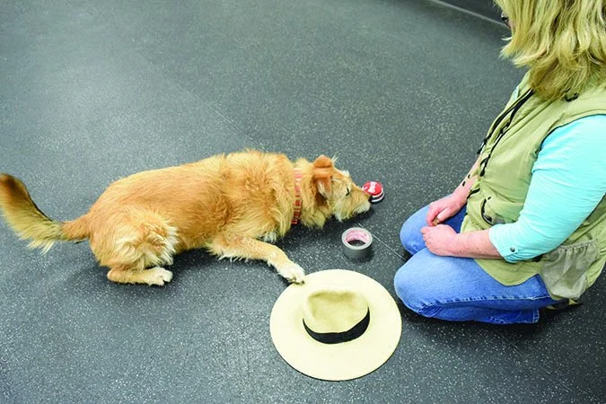 %EC%B2%9C%EC%9E%AC%EA%B0%9C5.jpg?type=w966