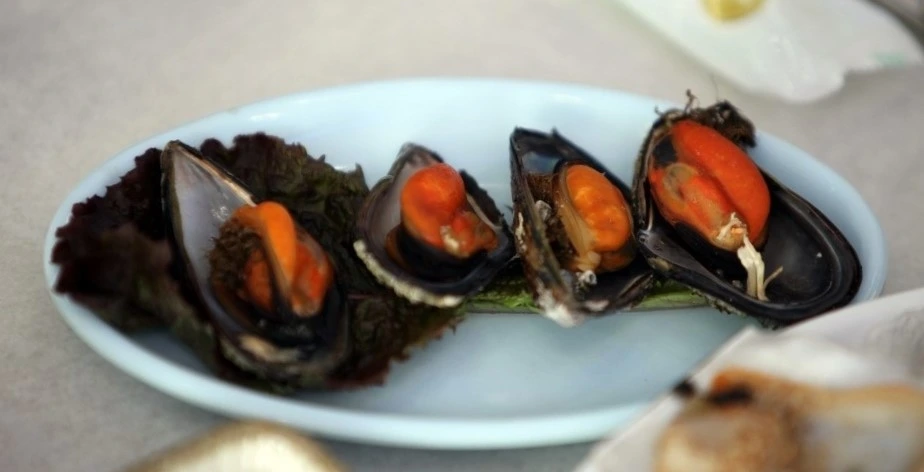 184C403F4D65204006-1 (2).jfif