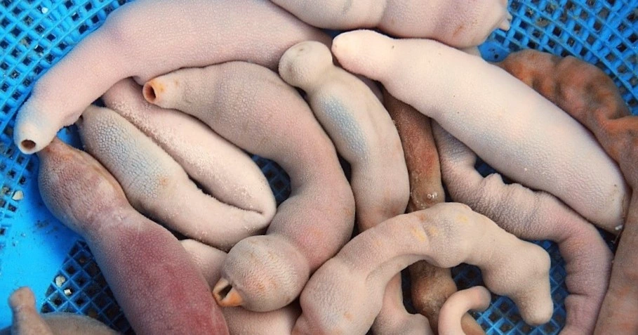 1168EE4B4D6C881D1A-1 (2).jfif