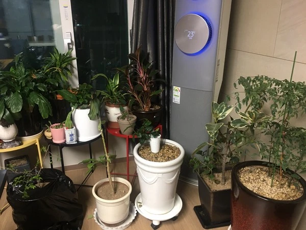 SE-44ccdaec-3e22-466a-8ae6-555c1e7f27de.jpg?type=w1600