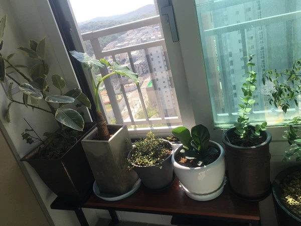 SE-b11c9043-82d3-4ce4-884a-3102910c8713.jpg?type=w1600