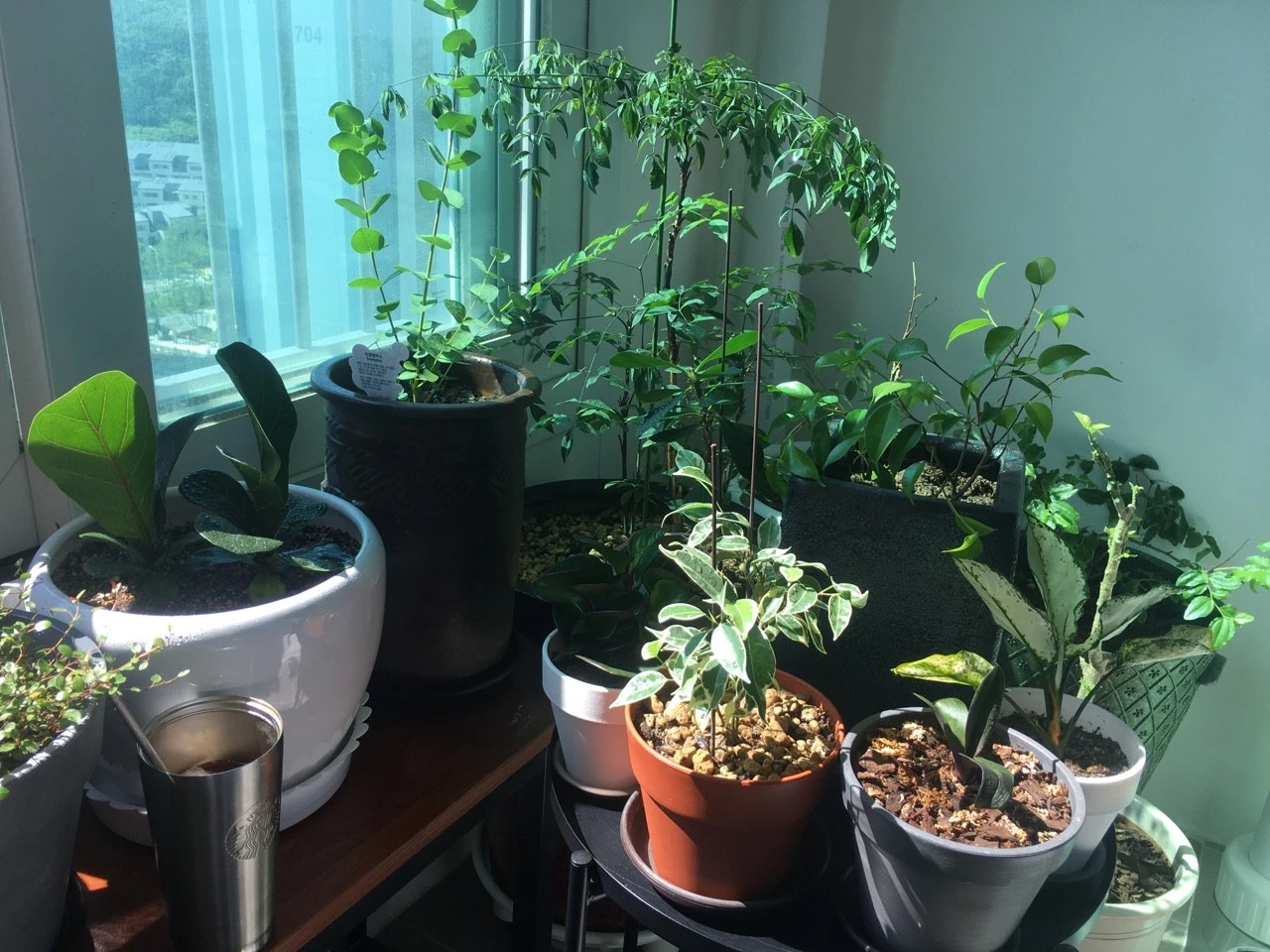 064_%EC%82%AC%EC%A7%84%EC%9D%BC%EA%B8%B043_5%EA%B0%80%EB%93%9C%EB%8B%9D%EC%82%AC%EC%9A%B0%EB%82%98.2021.7.24.jpg?type=w1600