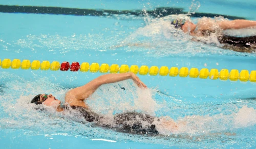 다운로드 (1).jpeg