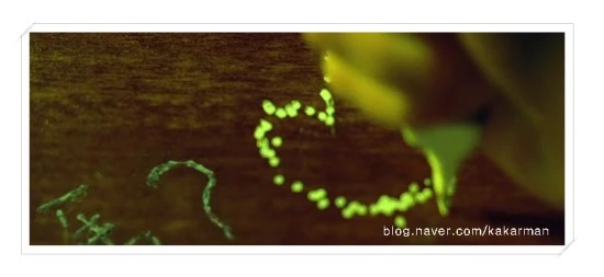 %bb%e7%ba%bb_secc5a~1-kakarman.jpg?type=w3