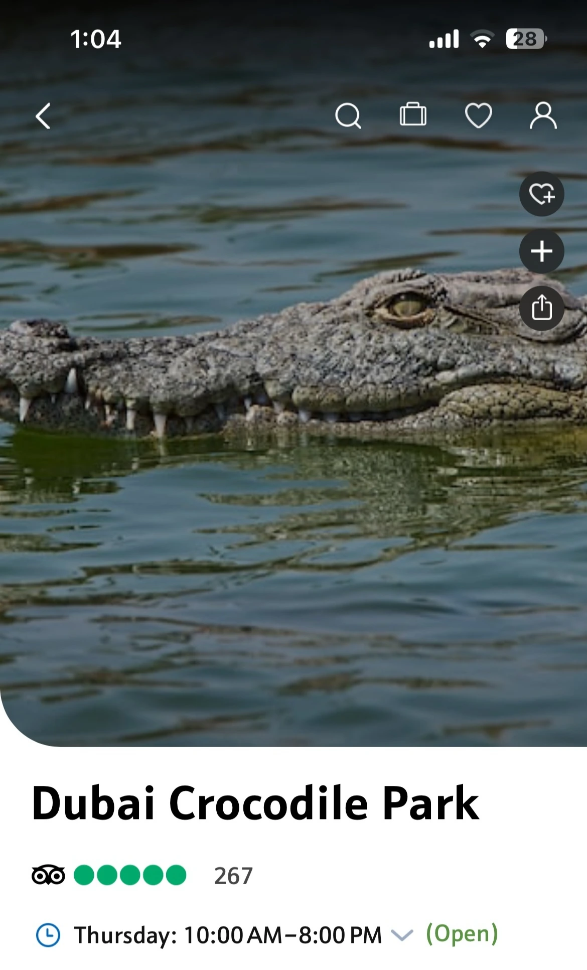 image_123650291 (5).JPG