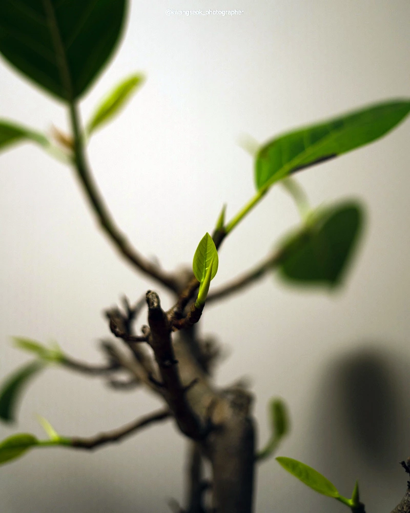 SE-f8d7f1bb-a57a-47e6-bbcc-abccf77b402d.jpg?type=w1