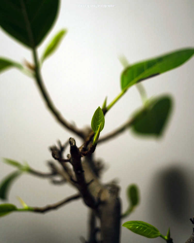 SE-b63c1243-4f94-46ce-ad35-3320625a88f3.jpg?type=w1