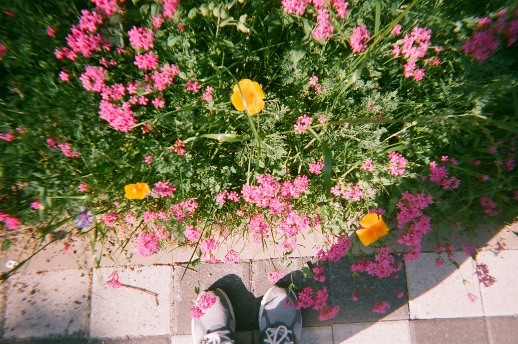 제물포 여름(필름) (2).JPG