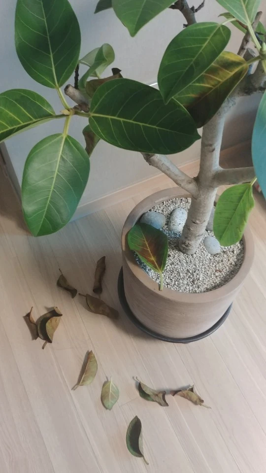 KakaoTalk_20200216_103053298_02.jpg?type=w1