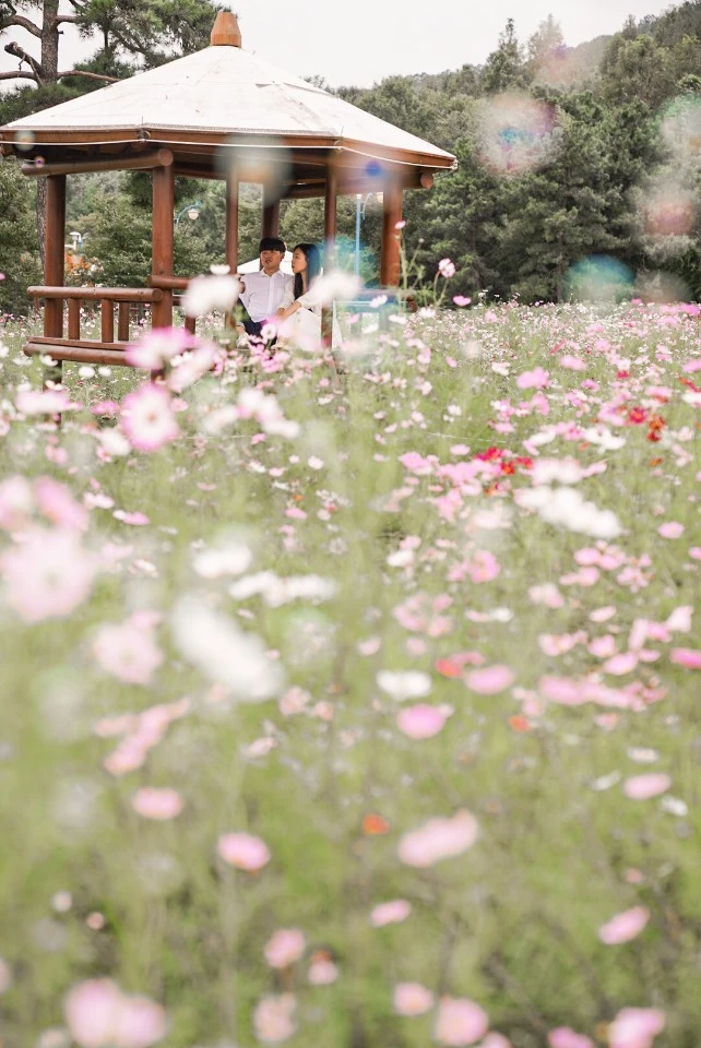 KakaoTalk_20191007_164556963_08.jpg?type=w1