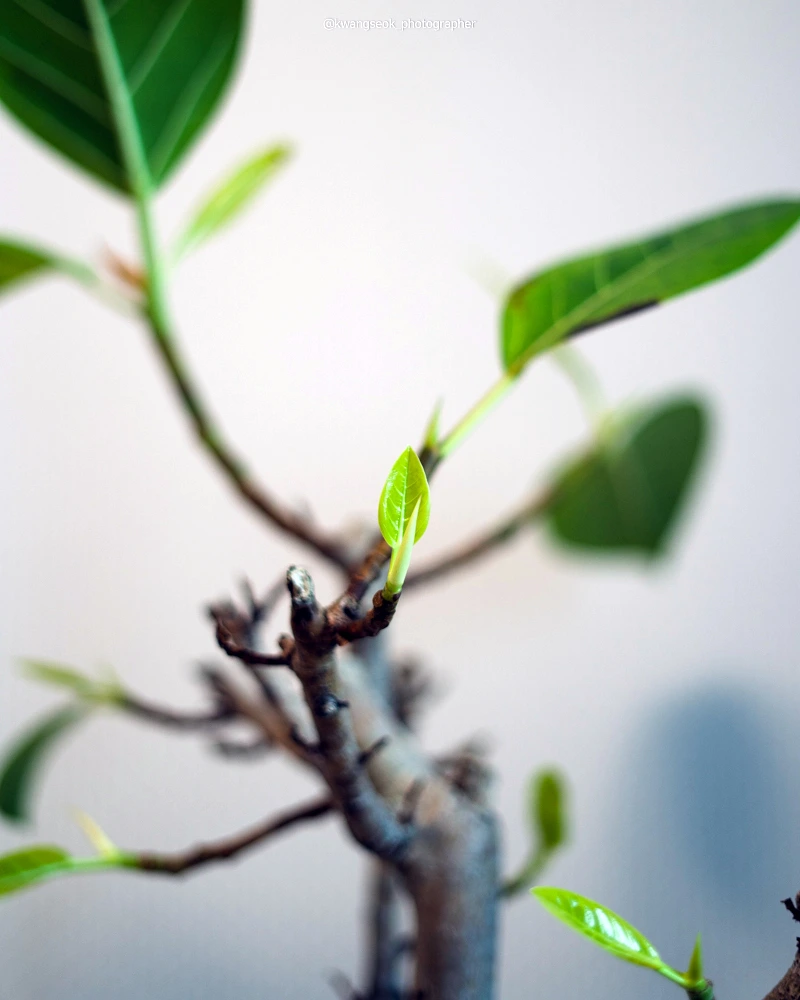 SE-22c5c50d-239a-49e2-92b8-90dcd0ead727.jpg?type=w1