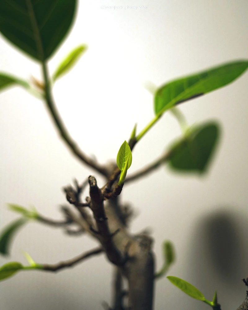 SE-ffd58635-b927-4d05-a606-1ecf3f7140c9.jpg?type=w1