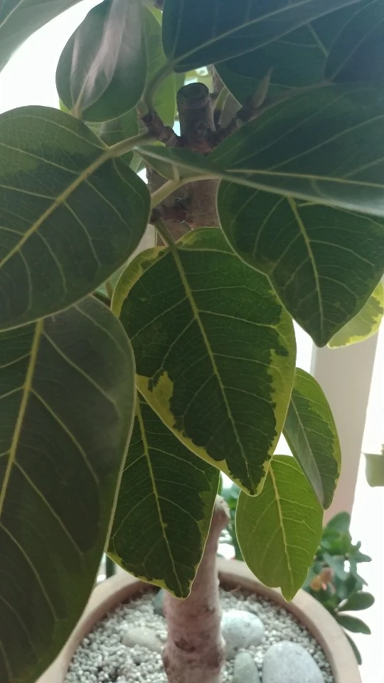 KakaoTalk_20200216_103053298_03.jpg?type=w1