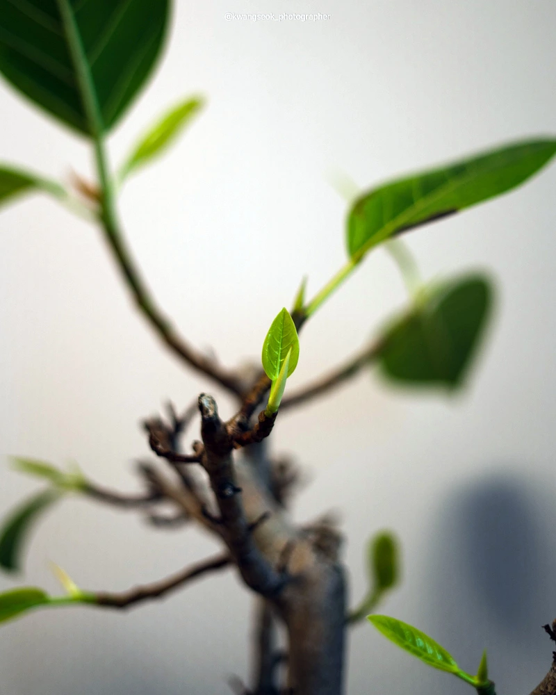 SE-8662b96e-0802-4522-8021-2ef339908e38.jpg?type=w1