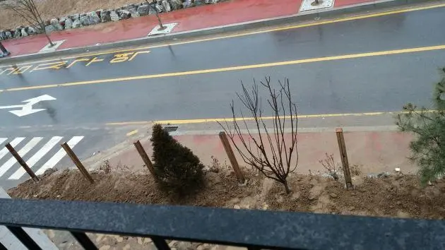 230E503E56D3126A1CB641