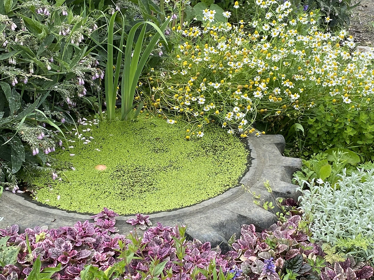 01_Cloughjordan_ (57).HEIC