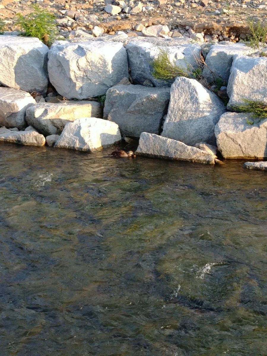 20190825_181209.jpg?type=w1