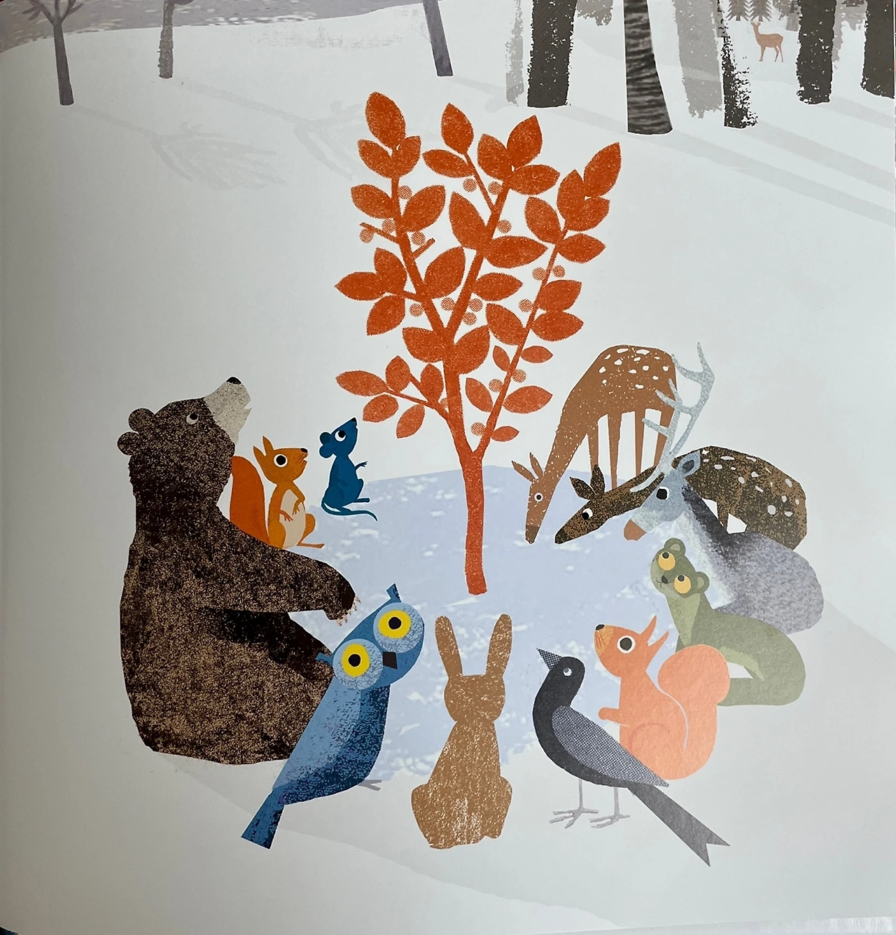 15. 여우나무_03.jpeg