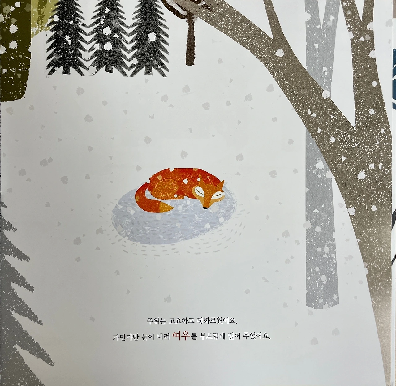 15. 여우나무_01.jpeg