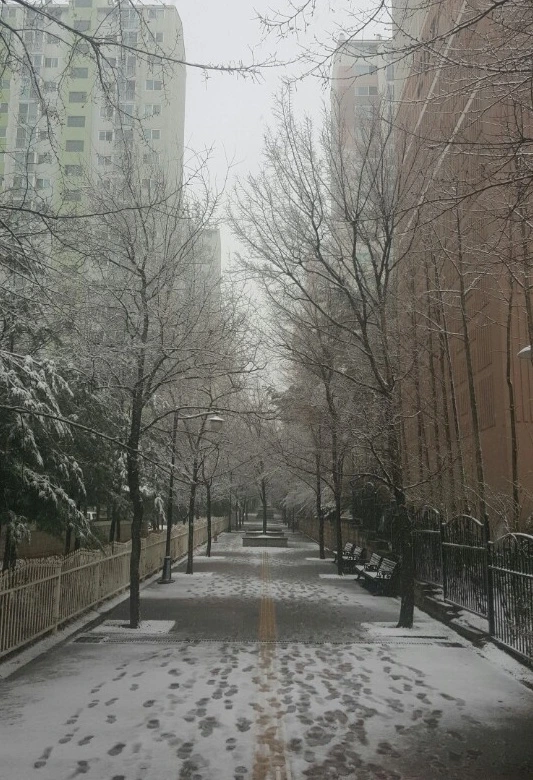 naver_com_20160310_085343.jpg?type=w2