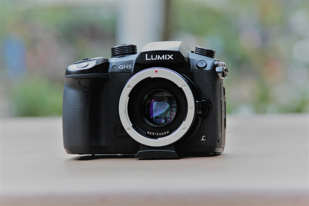 f6d433-4235cd-gh5.jpg?1536559447