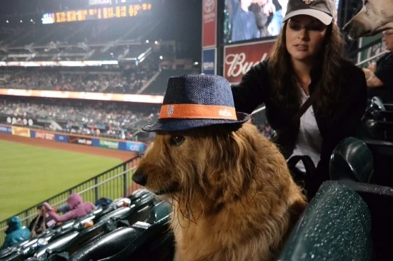 CitiBark1_x00vd369_3zte5ukx.jpg?type=w3