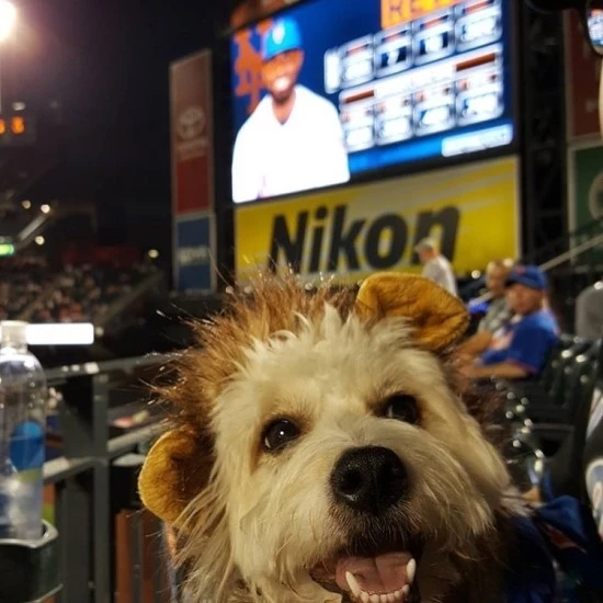 IMG_4907.jpg?type=w3