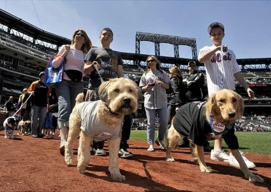 gal-bark-park-08-jpg.jpg?type=w3