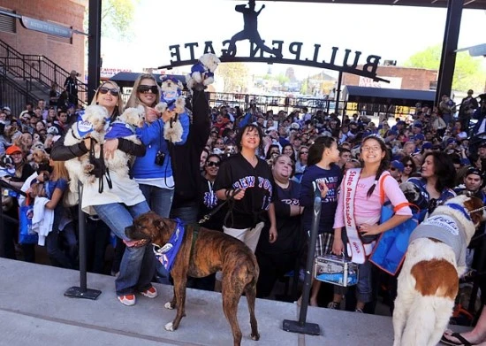 98648575.jpg?type=w3