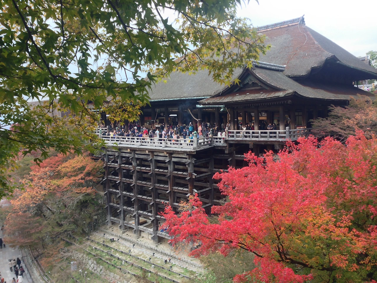 2014 가을 교토 1074.JPG