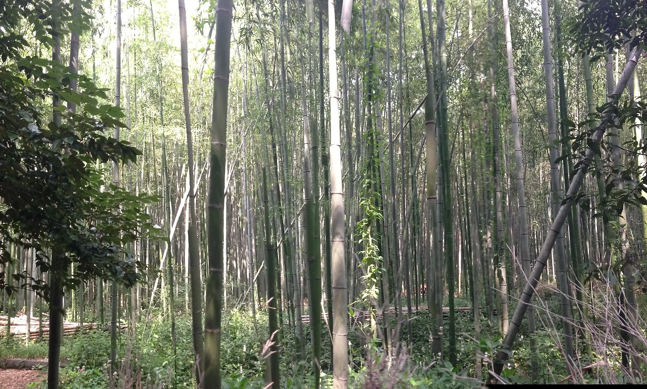 2013년~2014년 261.JPG