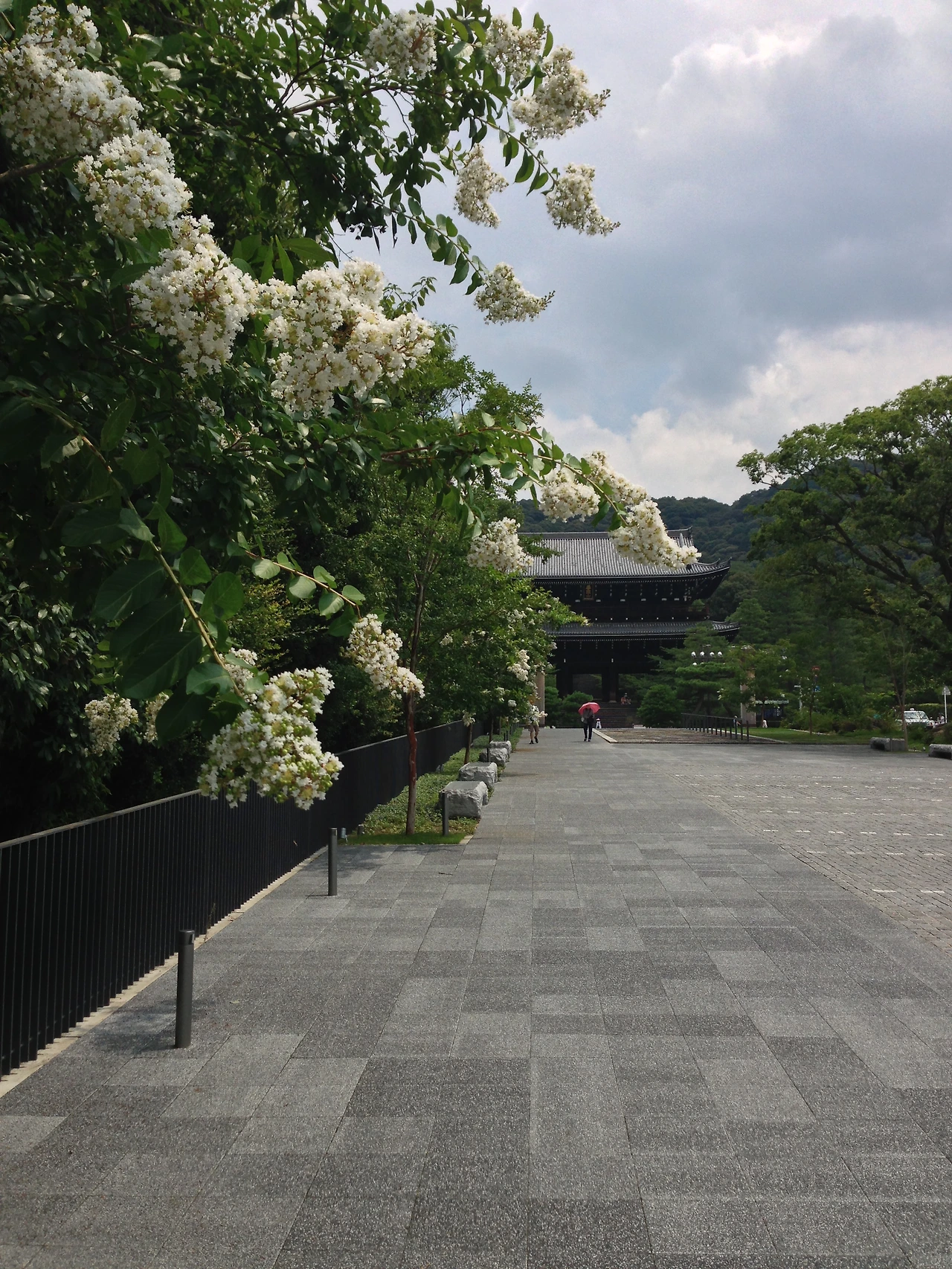 2013년~2014년 364.JPG