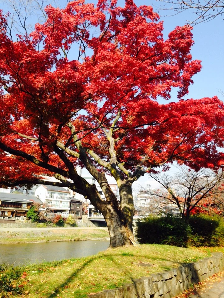 2013년~2014년 1094.JPG