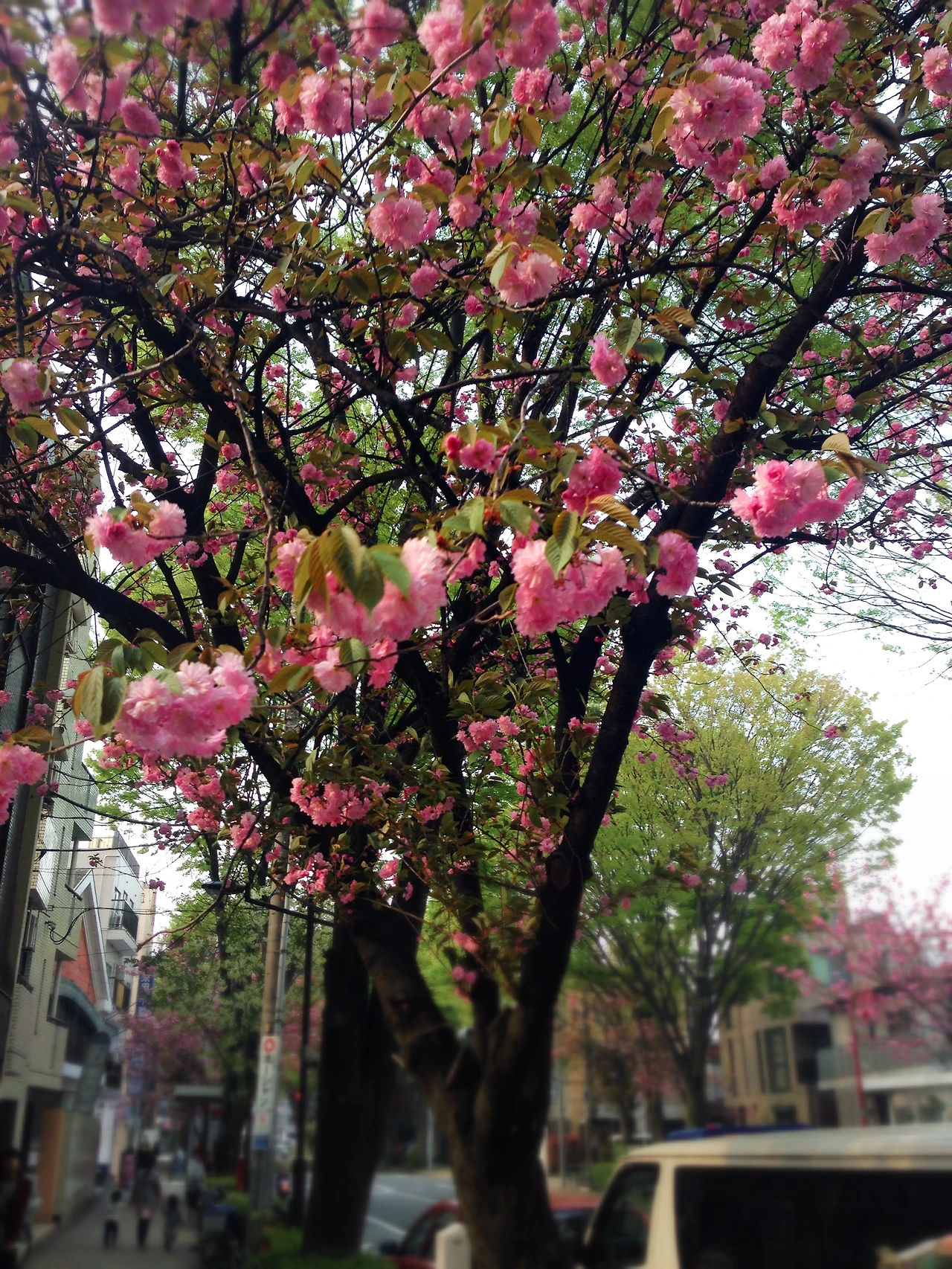 2013년~2014년 1331.JPG