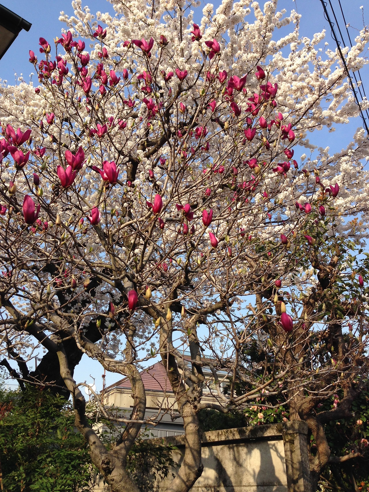 2013년~2014년 1306.JPG