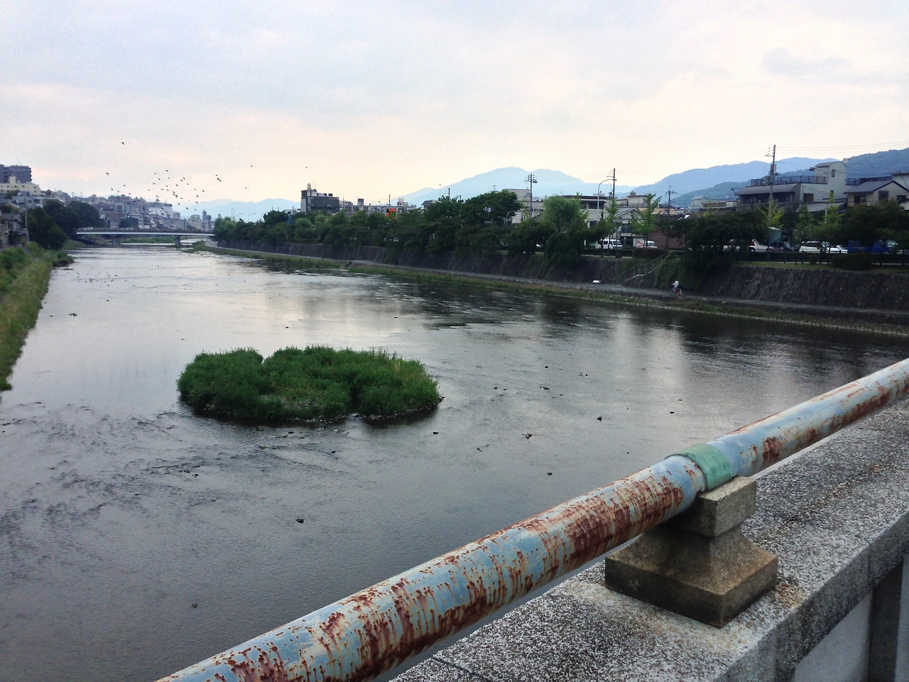 2013년~2014년 132.JPG