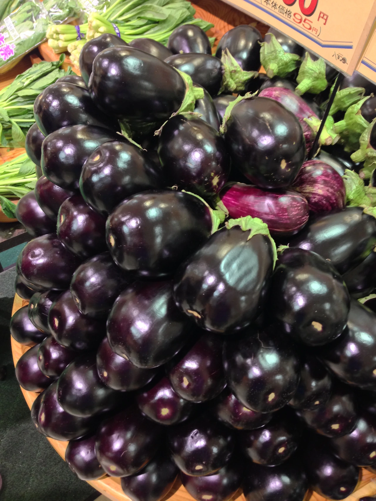 2013년~2014년 570.JPG