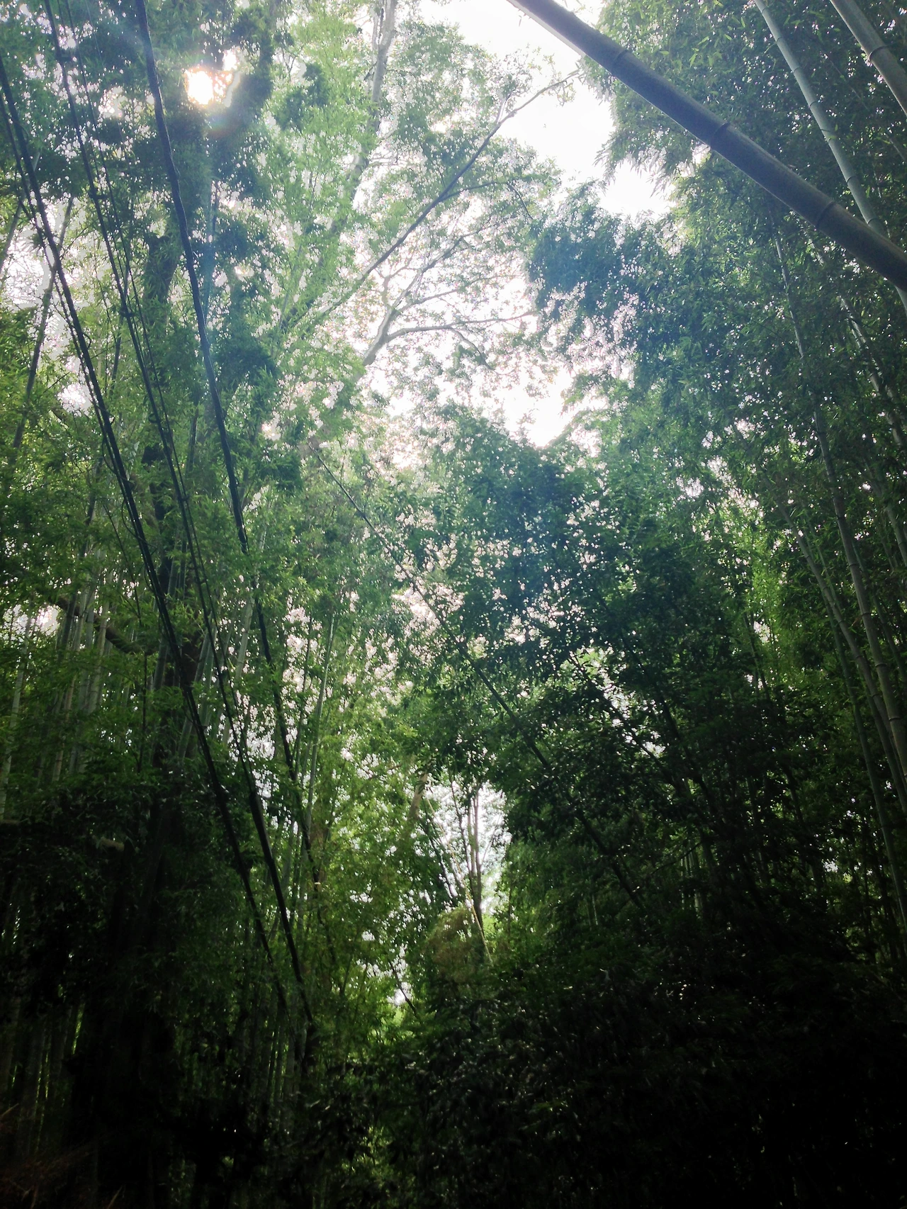 2013년~2014년 256.JPG