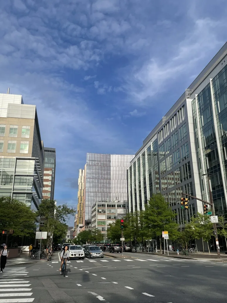 IMG_6731.jpg?type=w773