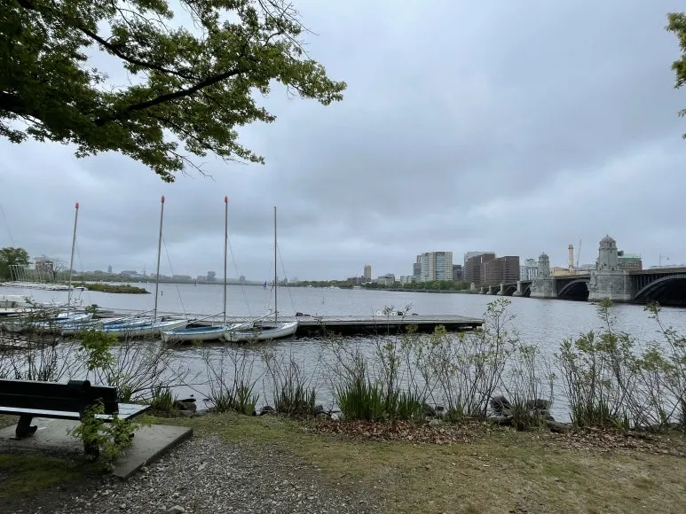 IMG_6755.jpg?type=w773