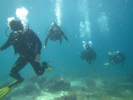 IMG_1690.JPG?type=w1