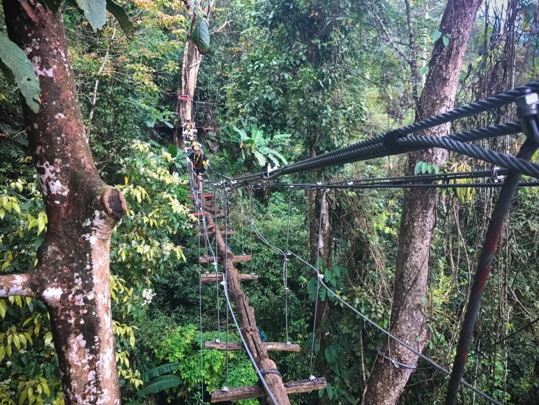 %EB%9D%BC%EC%98%A4%EC%8A%A4_3%EC%9D%BC%EC%B0%A8-18.jpg?type=w773