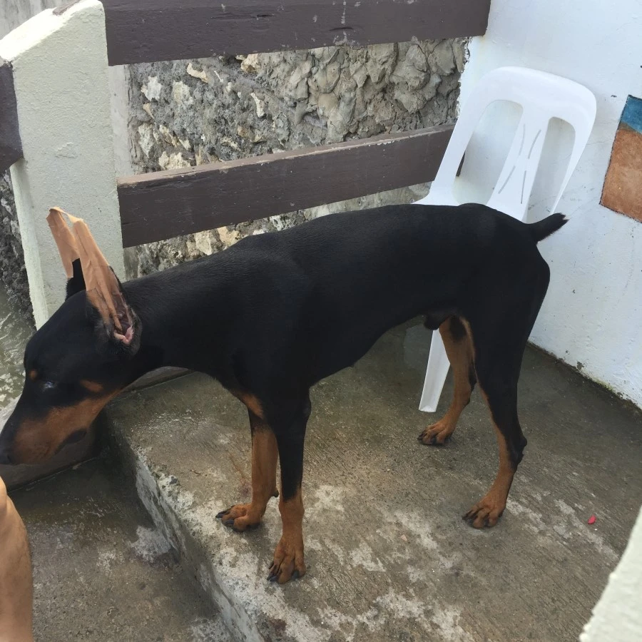 IMG_1357.JPG?type=w1