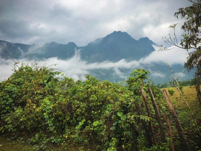 %EB%9D%BC%EC%98%A4%EC%8A%A4_3%EC%9D%BC%EC%B0%A8-11.jpg?type=w773