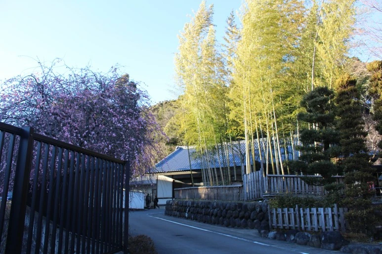 %EC%8B%9C%EC%A6%88%EC%98%A4%EC%B9%B42%EC%9D%BC%EC%B0%A8-1.jpg?type=w773