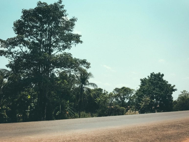 %EB%9D%BC%EC%98%A4%EC%8A%A4_1%EC%9D%BC%EC%B0%A8-10.jpg?type=w773