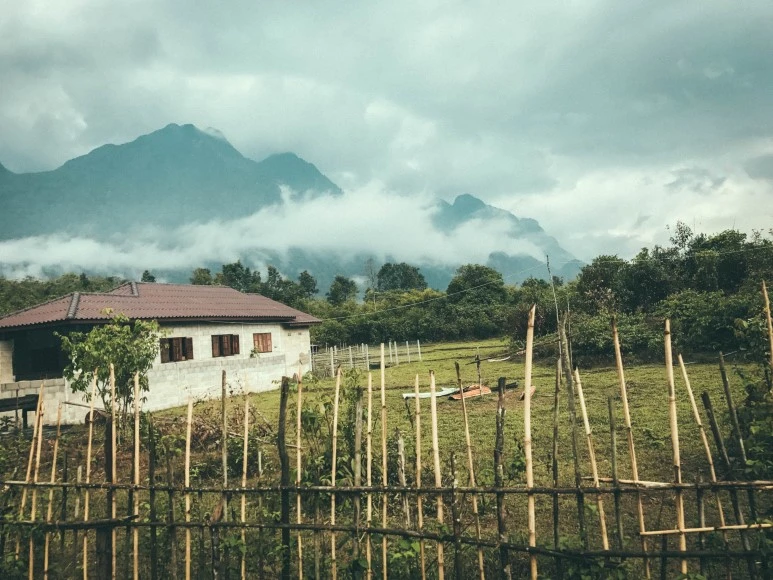 %EB%9D%BC%EC%98%A4%EC%8A%A4_3%EC%9D%BC%EC%B0%A8-10.jpg?type=w773